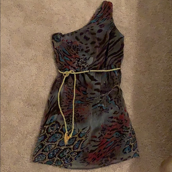 Charlotte Russe Dresses & Skirts - ✨Animal Print 1 Shoulder Dress with Gold Rope Belt
